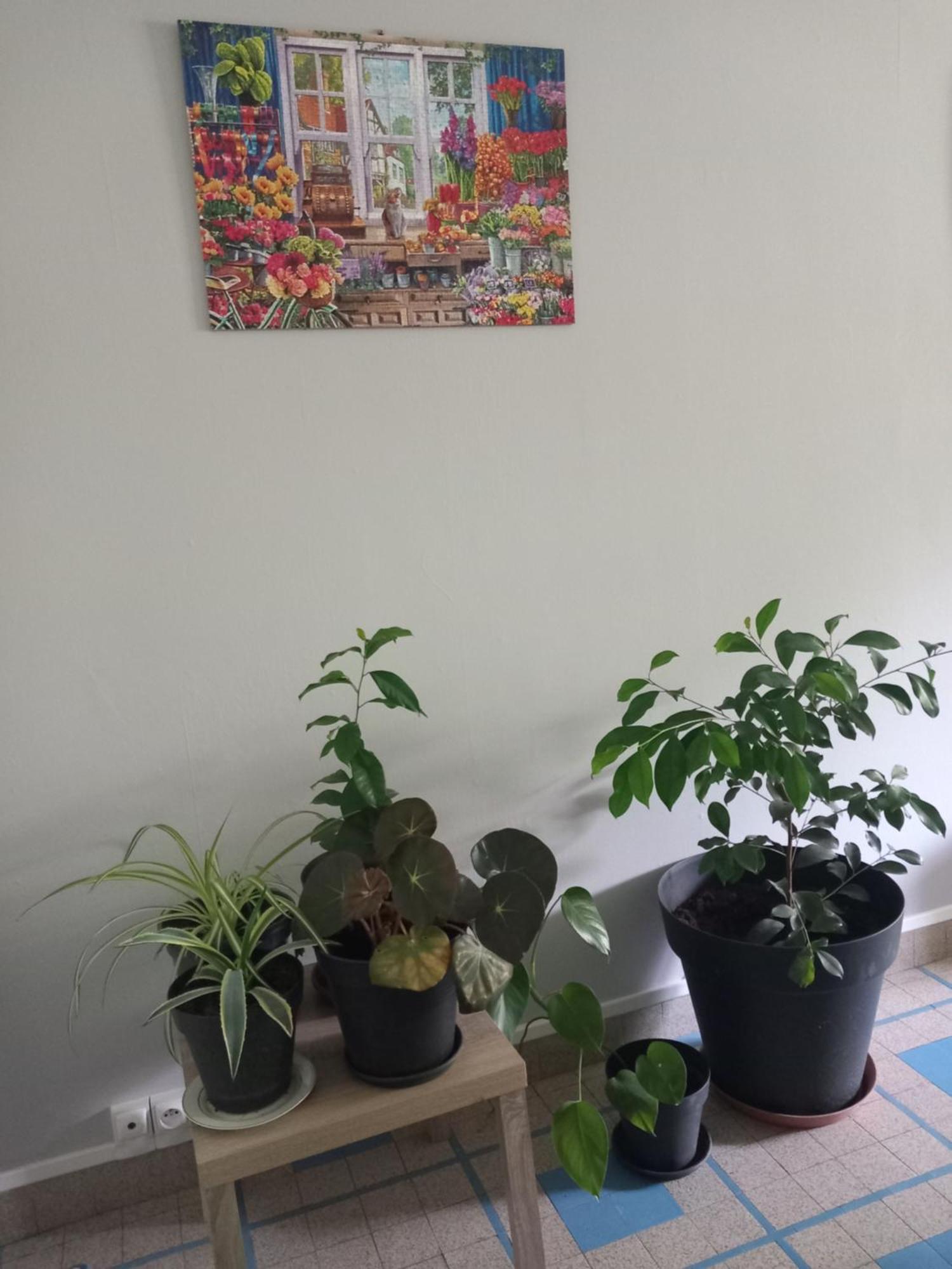 Les Cyclamens 1 Apartment Cosne-Cours-Sur-Loire Luaran gambar